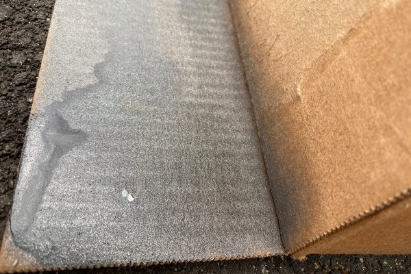 camphoto_1254324197(3)